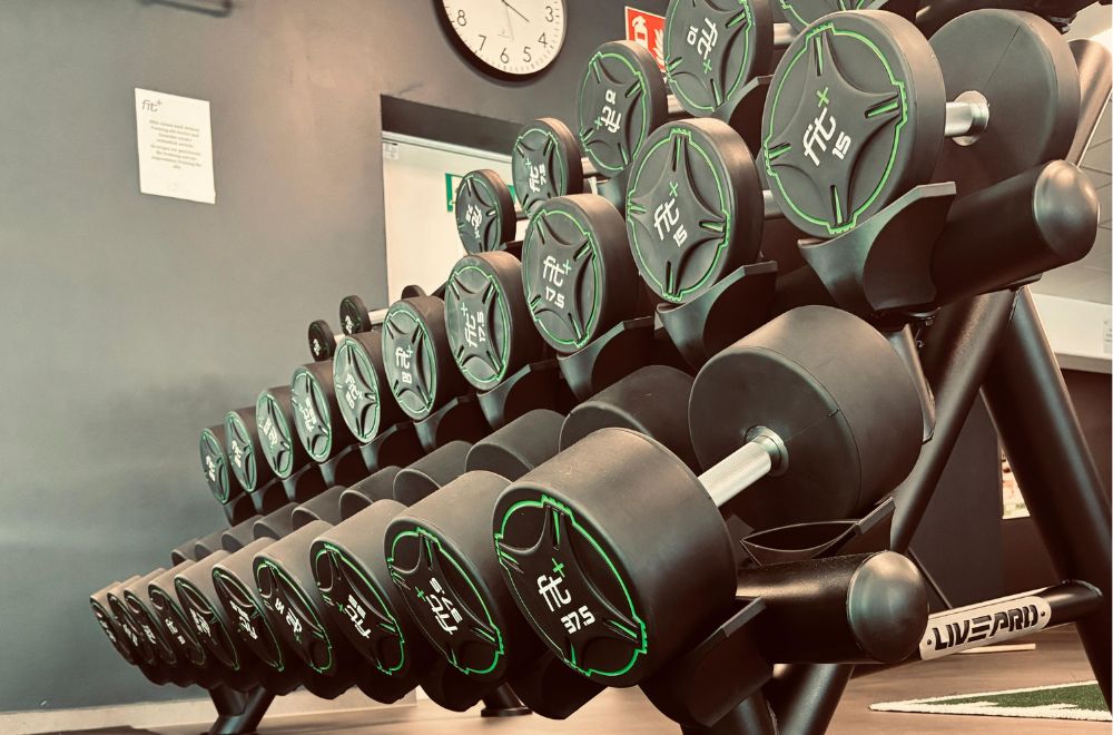 fitplus_Gudensberg_Kurzhanteln
